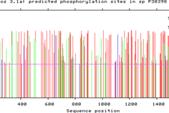 In Silico Analysis of BRCA1 Phosphorylation in Breast Cancer