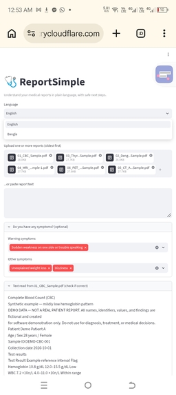 ReportSimpleV2 – screenshot 9