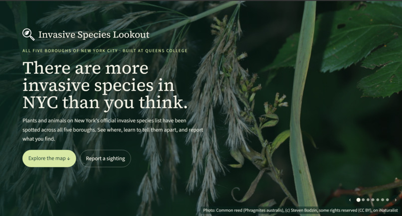Invasive Species Lookout (ISL) – screenshot 1