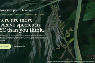 Invasive Species Lookout (ISL)