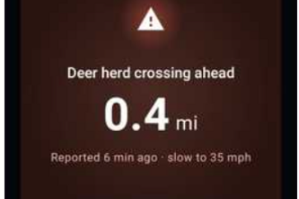 CritterCross