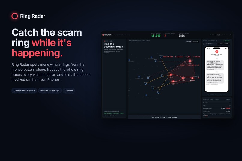 Ring-Radar – screenshot 5