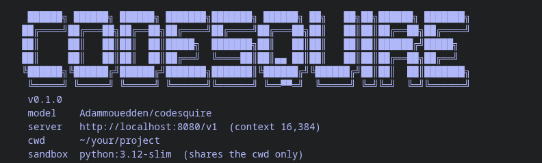 CodeSquire – screenshot 2