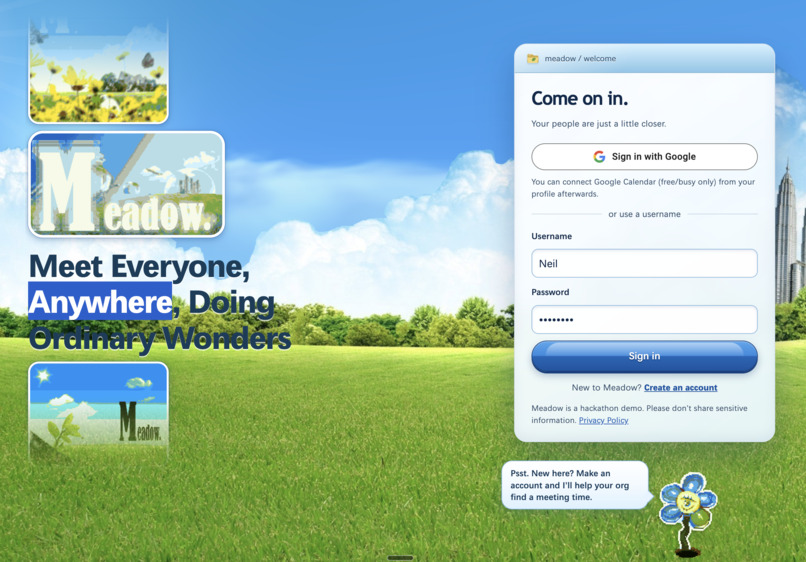 MEADOW – screenshot 1
