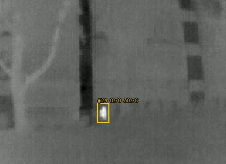 VIGIL – screenshot 1