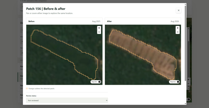 ForestLens – screenshot 2