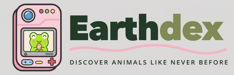 Earthdex – screenshot 1