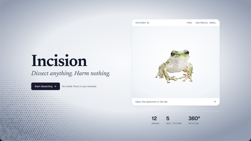 Incision – screenshot 1
