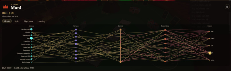 Full House-Flies – screenshot 7