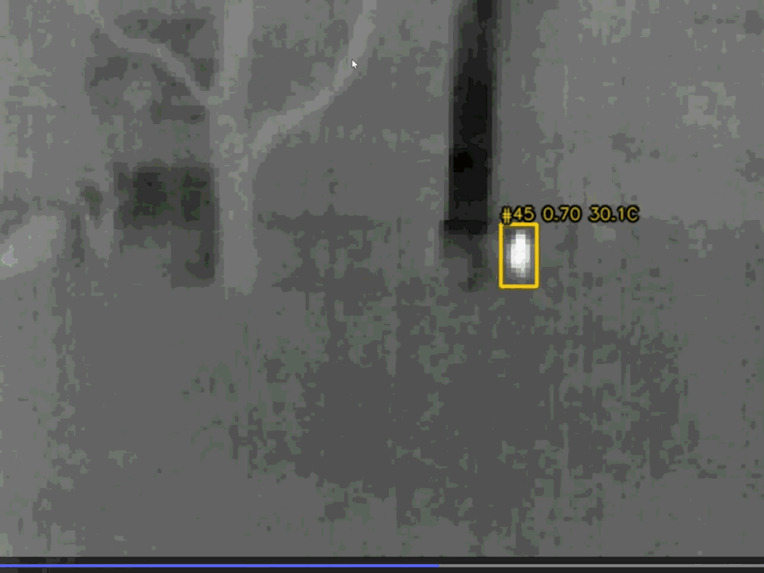 VIGIL – screenshot 3