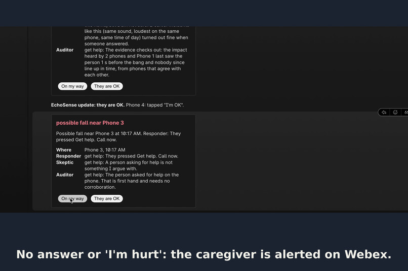 EchoSense – screenshot 4