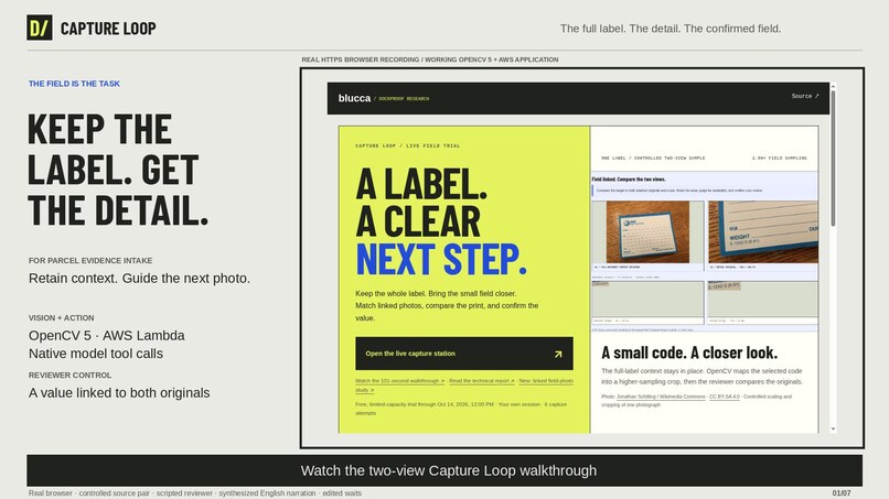Capture Loop – screenshot 2