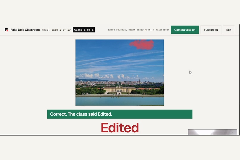 Fake-Dojo – screenshot 9