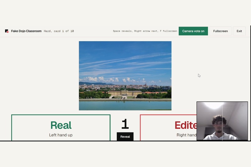 Fake-Dojo – screenshot 8