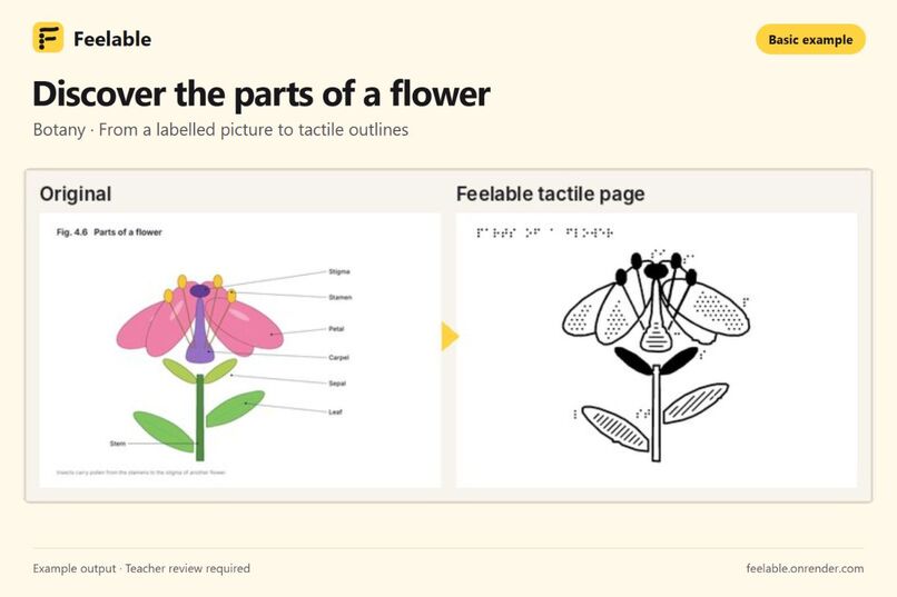Feelable  – screenshot 2