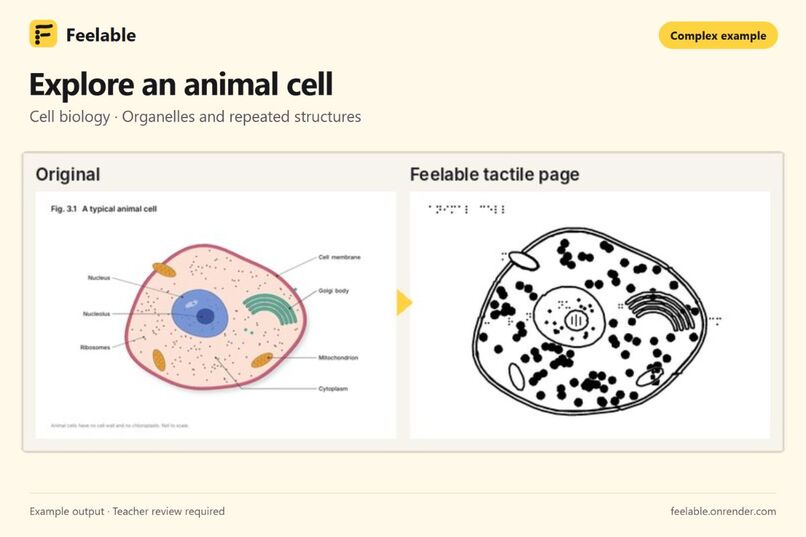 Feelable  – screenshot 11