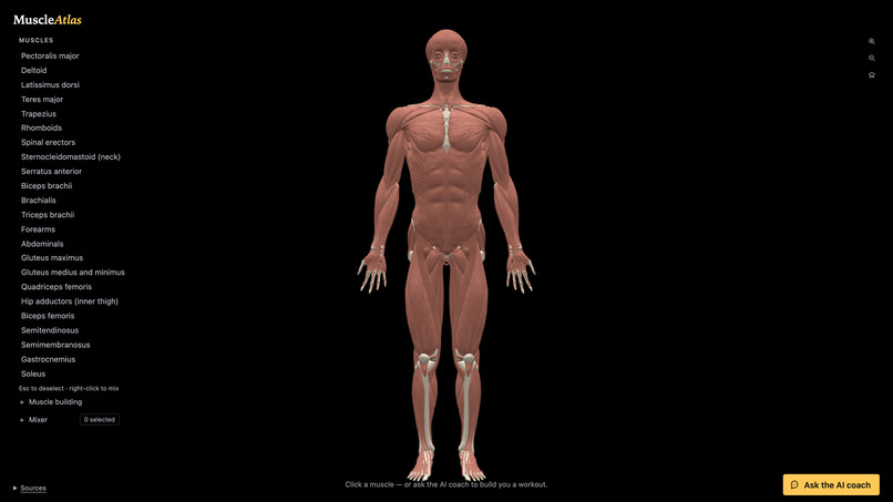 MuscleAtlas – screenshot 1