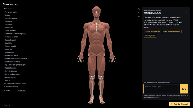 MuscleAtlas – screenshot 2