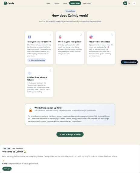 Mirror Moment – screenshot 3