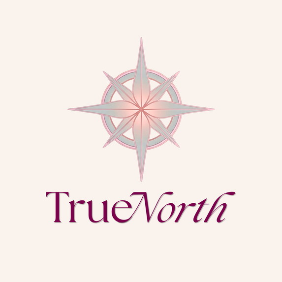 TrueNorth – screenshot 1