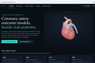 CoronaryLens 3D: Context Beyond the Score
