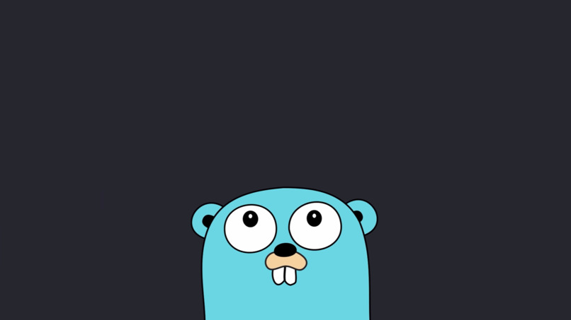 go-video-compressor – screenshot 1