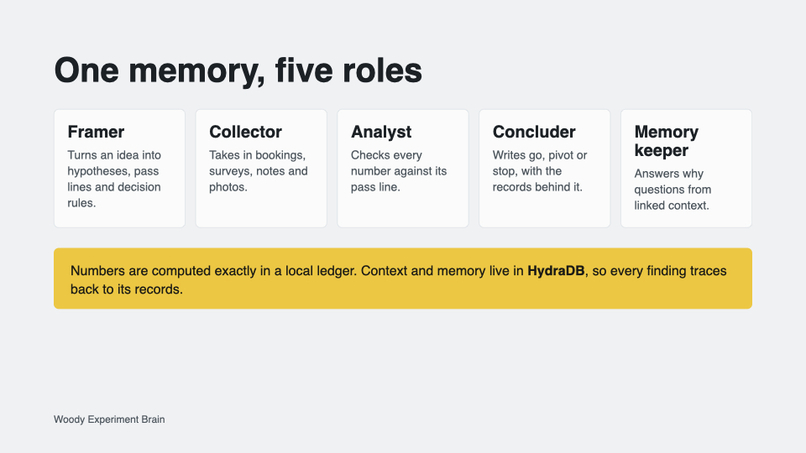 Woody, Experiment Brain – screenshot 4