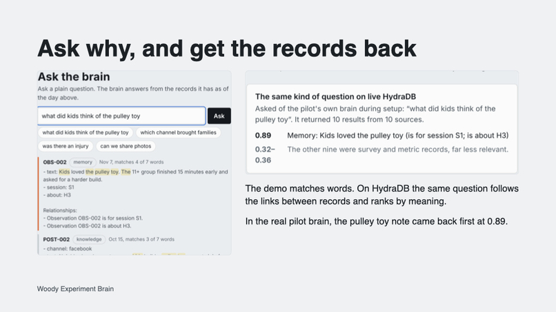 Woody, Experiment Brain – screenshot 10