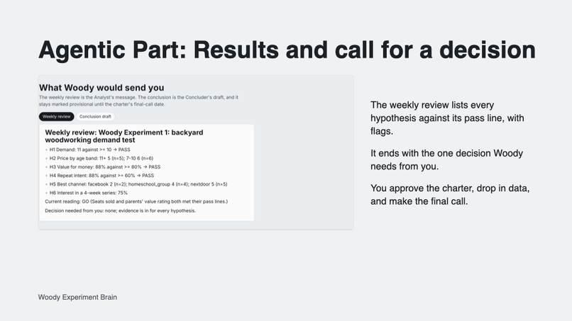 Woody, Experiment Brain – screenshot 11