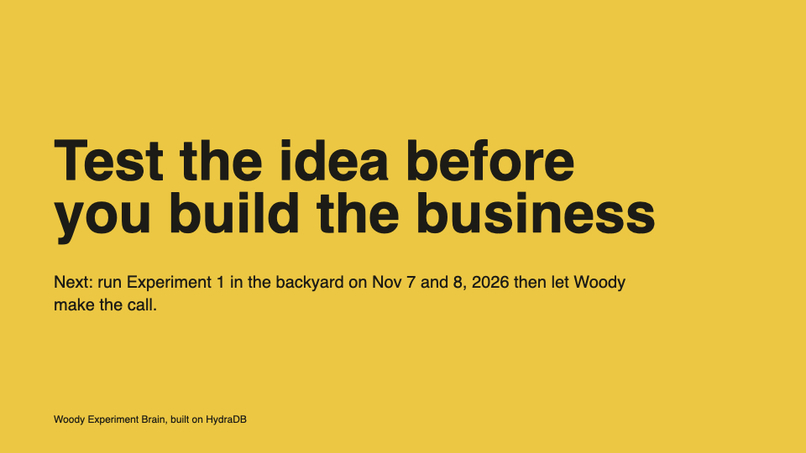 Woody, Experiment Brain – screenshot 14