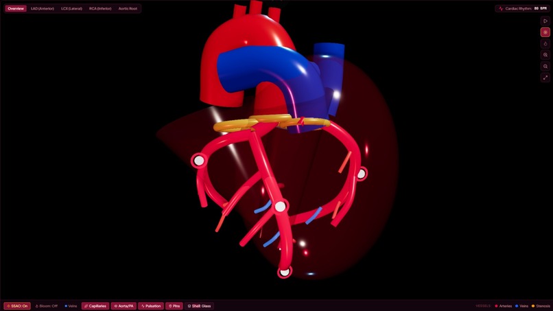 CardioVista – screenshot 3
