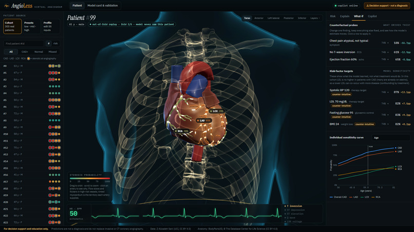 AngioLens – screenshot 2