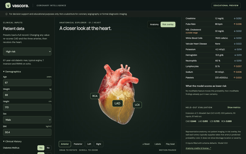 Vascora – screenshot 1