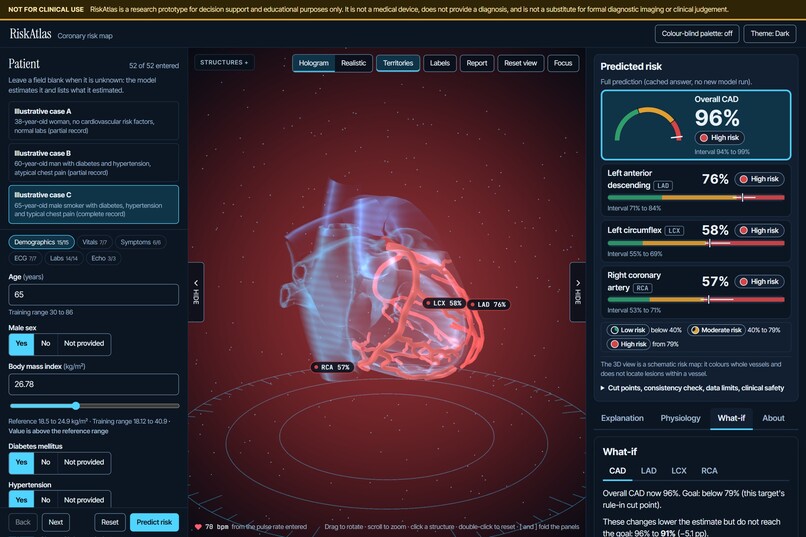 RiskAtlas – screenshot 7