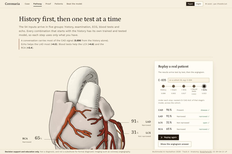 Coronaria – screenshot 6