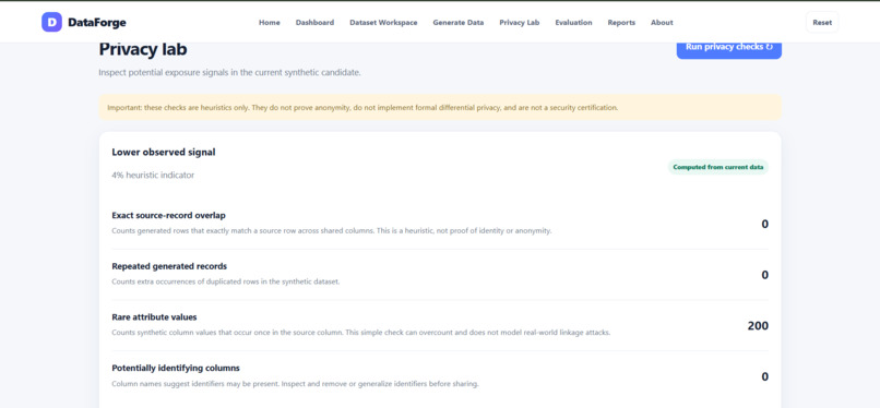 DataForge – Synthetic Data Studio – screenshot 6