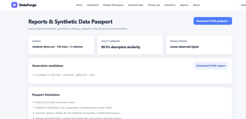 DataForge – Synthetic Data Studio – screenshot 9