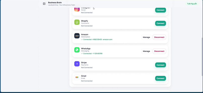 Business Brain – screenshot 4