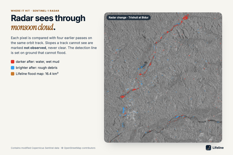 Lifeline – screenshot 7