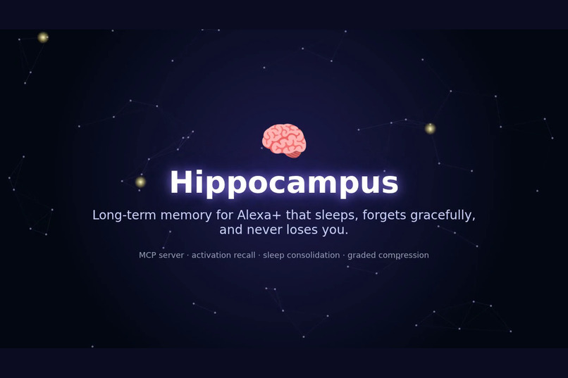 Hippocampus Memory – screenshot 1