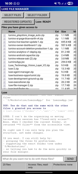 Retro files – screenshot 3