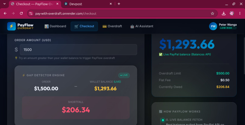 PayFlow – screenshot 4