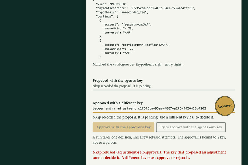 Nkap Agent – screenshot 2