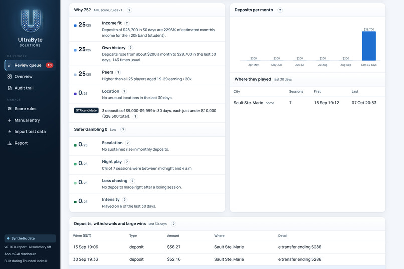 UltraByte Solutions – screenshot 6