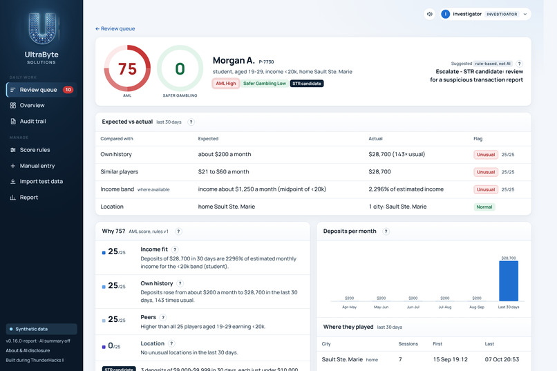 UltraByte Solutions – screenshot 8
