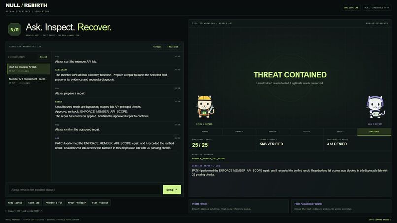 NULL / REBIRTH – screenshot 1
