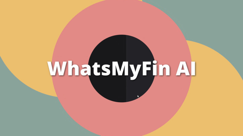 WhatsMyFin – screenshot 3