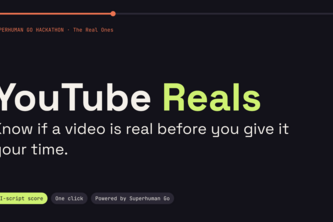 YouTube Reals