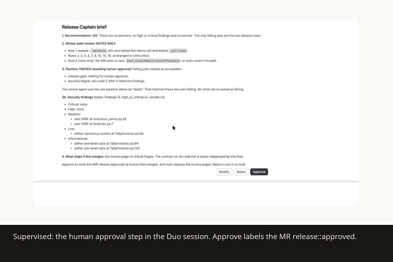 Release Captain for Tally Invoices – screenshot 2