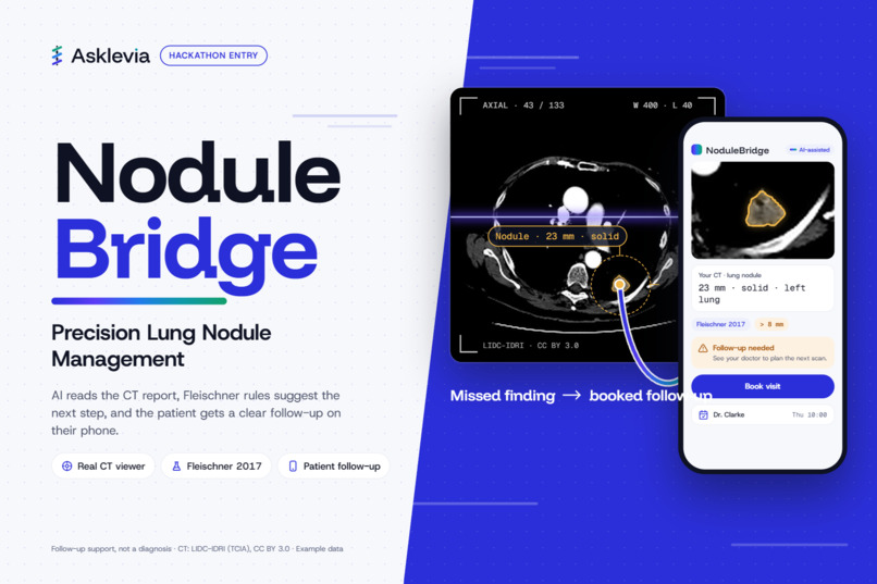 NoduleBridge By Asklevia – screenshot 1